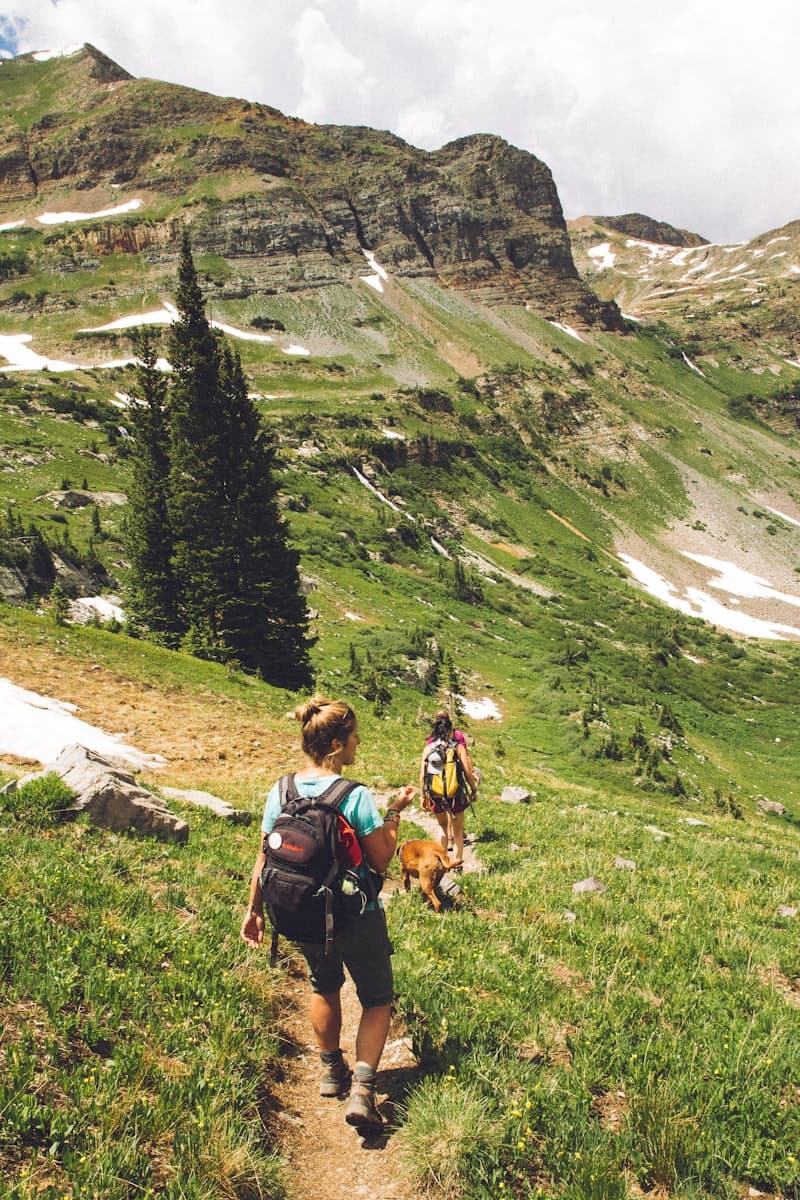 Two hikers and their dog descending an alpine trail